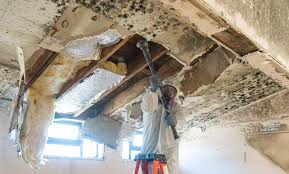 Mold Remediation for Vacation Homes in Cleona, PA